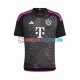 FC Bayern München Auswärtsausrüstung 2023-2024 Herren Trikot S/S