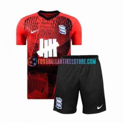 Birmingham City Auswärtsausrüstung 2023-2024 Kinder Set(Trikot und Hose) S/S