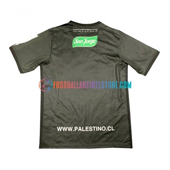 Club Deportivo Palestino Auswärtsausrüstung 2022-2023 Herren Trikot S/S