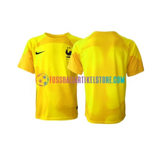 Frankreich Ausweichausrüstung Torwart World Cup 2022 Herren Trikot S/S