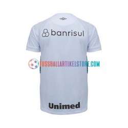 Gremio Auswärtsausrüstung 2023-2024 Herren Trikot S/S