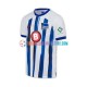 Hertha BSC Heimausrüstung 2023-2024 Herren Trikot S/S