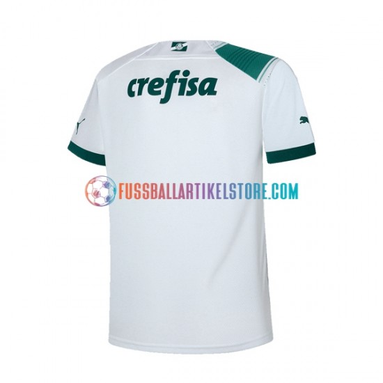 Palmeiras Auswärtsausrüstung 2023-2024 Herren Trikot S/S