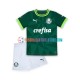 Palmeiras Heimausrüstung 2023-2024 Kinder Set(Trikot und Hose) S/S