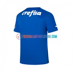 Palmeiras Heimausrüstung Torwart 2023-2024 Herren Trikot S/S