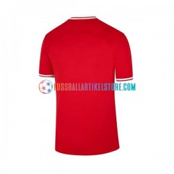 Polen Auswärtsausrüstung World Cup 2022 Herren Trikot S/S