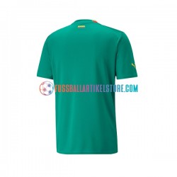 Senegal Auswärtsausrüstung World Cup 2022 Herren Trikot S/S