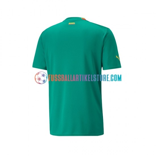 Senegal Auswärtsausrüstung World Cup 2022 Herren Trikot S/S