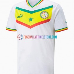 Senegal Heimausrüstung World Cup 2022 Herren Trikot S/S