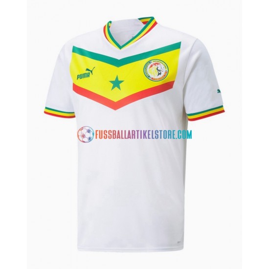 Senegal Heimausrüstung World Cup 2022 Herren Trikot S/S