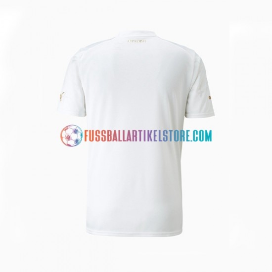 Serbien Auswärtsausrüstung World Cup 2022 Herren Trikot S/S