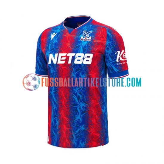 Crystal Palace Heimausrüstung 2024-2025 Herren Trikot S/S