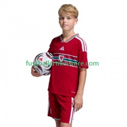 Wales Heimausrüstung 2026 Kinder Set(Trikot und Hose) S/S