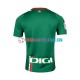 Auswärtsausrüstung Deportivo Alaves 2023-2024 Herren Trikot S/S