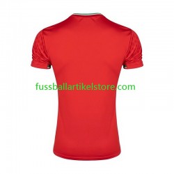 Iran Auswärtsausrüstung 2026 Herren Trikot S/S