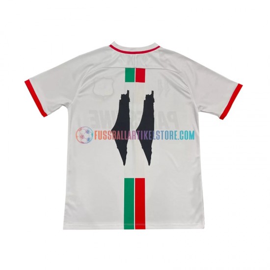 Club Deportivo Palestino Auswärtsausrüstung Center Stripre 2024-2025 Herren Trikot S/S