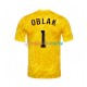 Slowenien Heimausrüstung Torwart Jan Oblak 1 Euro 2024 Herren Trikot Gelb S/S