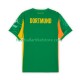 Borussia Dortmund Heimausrüstung Torwart 2025-2026 Herren Trikot S/S