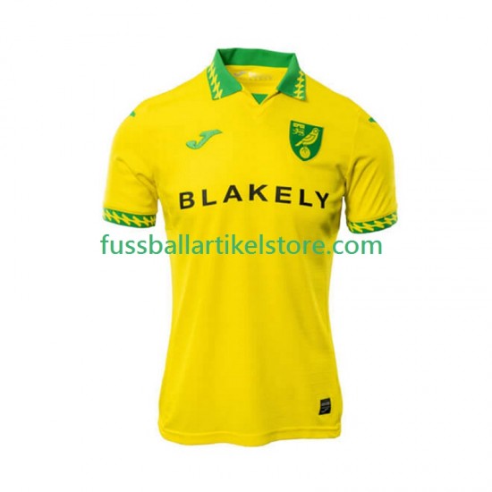 Norwich City Heimausrüstung 2025-2026 Herren Trikot S/S