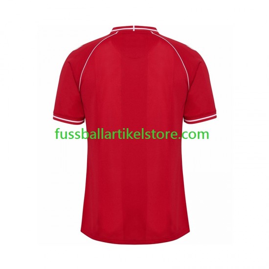 Dänemark Heimausrüstung 2026 Herren Trikot S/S