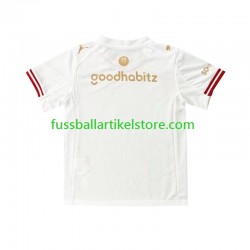 PSV Eindhoven Viertesausrüstung Efteling 2025-2026 Herren Trikot S/S