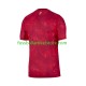 Polen Auswärtsausrüstung 2026 2027 Herren Trikot S/S