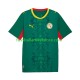 Senegal Auswärtsausrüstung 2026 2027 Herren Trikot S/S