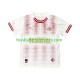 PSV Eindhoven Viertesausrüstung especial 2025-2026 Herren Trikot S/S