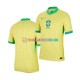 Brasilien Heimausrüstung Copa America 2024 Herren Trikot S/S