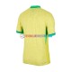 Brasilien Heimausrüstung Copa America 2024 Herren Trikot S/S