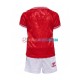 Dänemark Heimausrüstung Euro 2024 Kinder Set(Trikot und Hose) Rot S/S